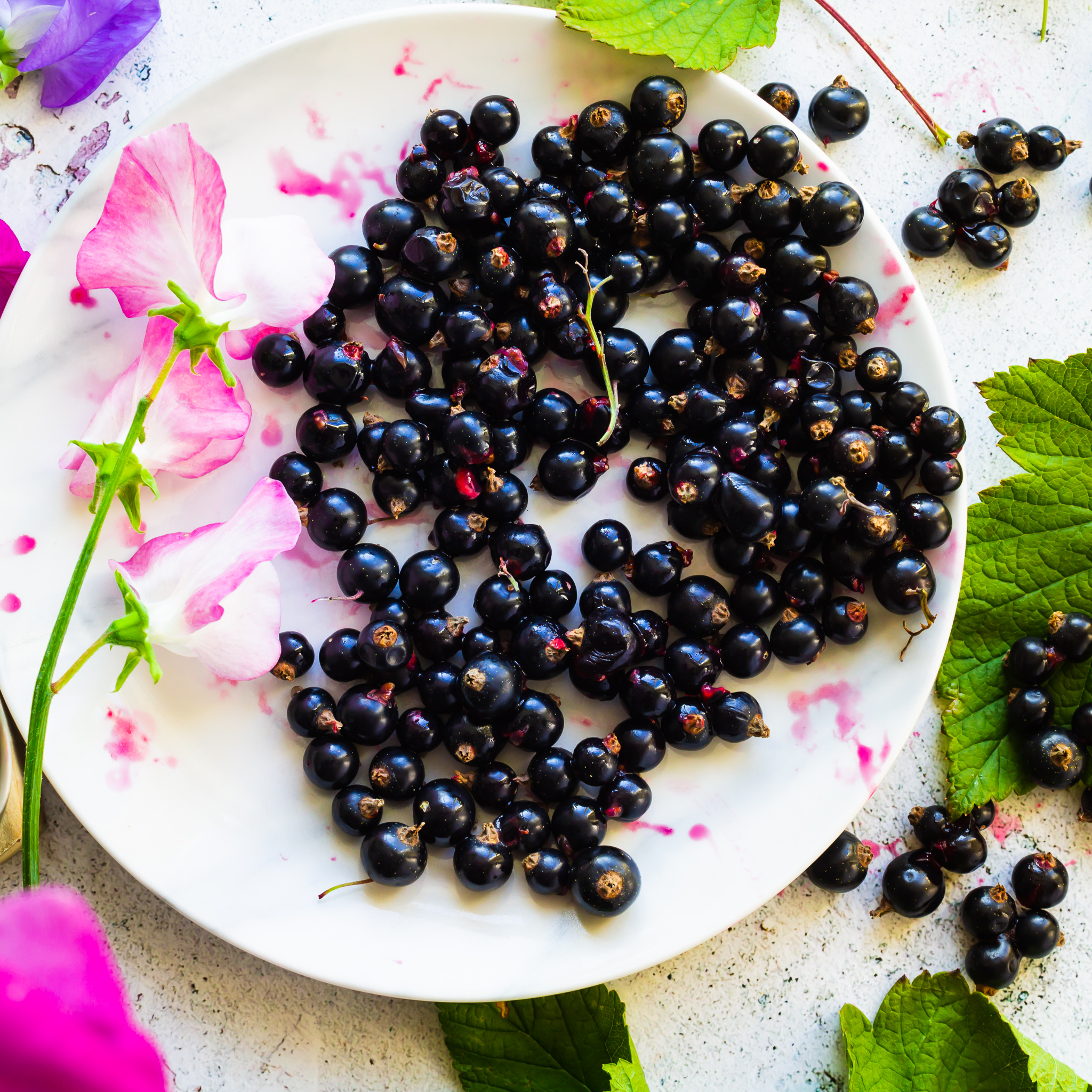 Blackcurrants 800x800 Blackcurrants-plate-flowers-sweetpeas