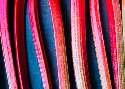 rhubarb-stalks-overhead-pink-red-gradient